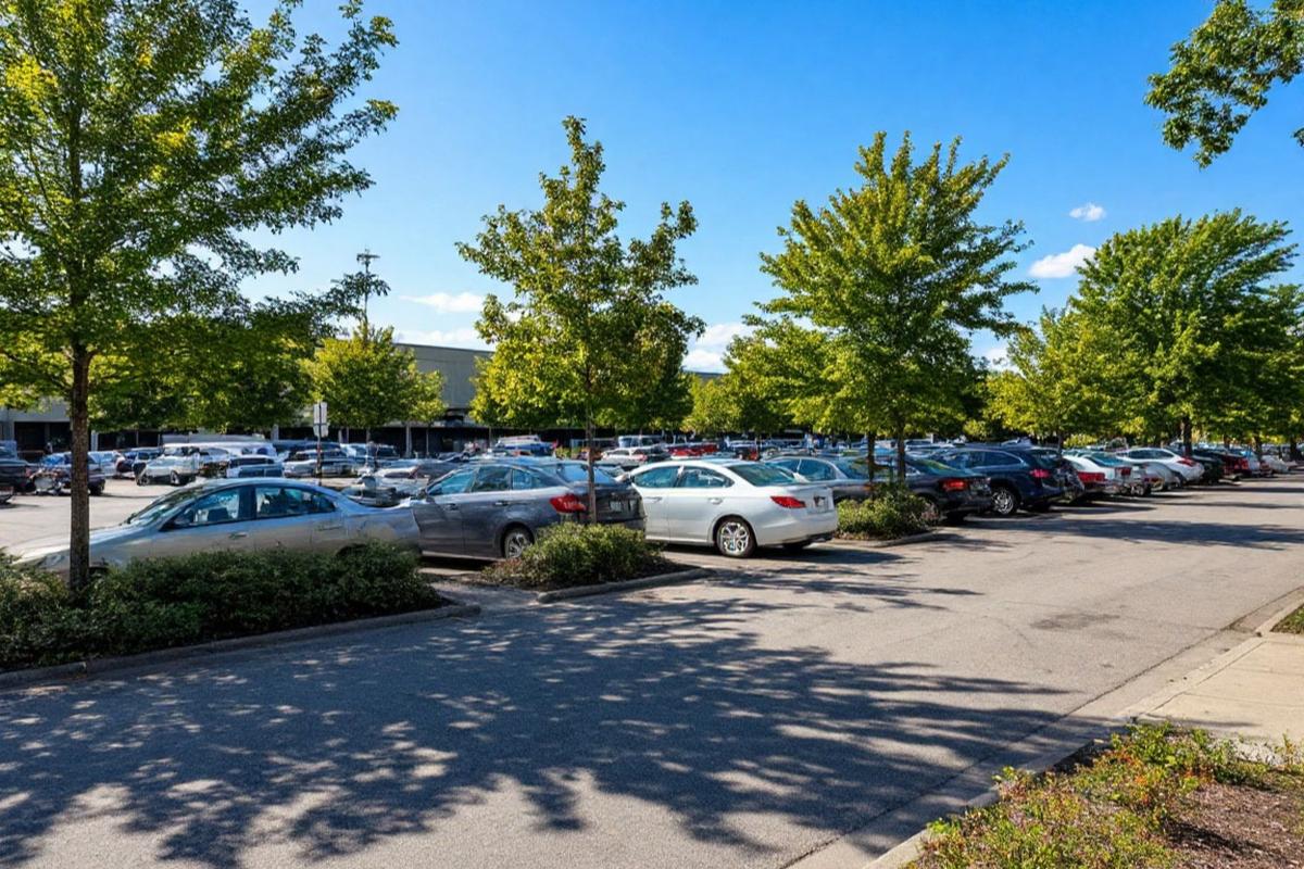 Бесплатный бонус к шашлыкам: как работают парковки Подмосковья на длинные выходные