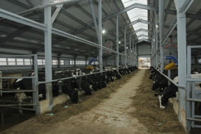 Более миллиарда рублей выдели на Вологодчине для развития молочного животноводства в текущем году