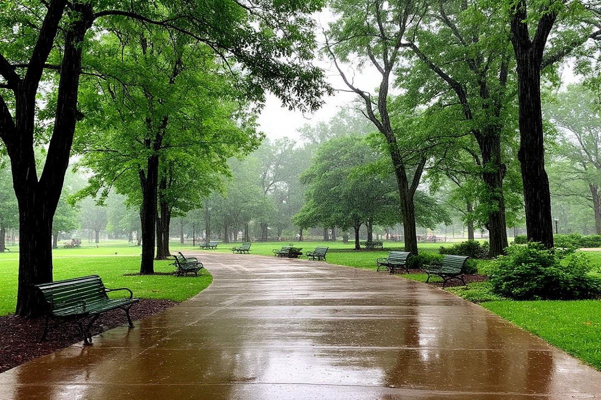 Метеорологический рекорд: Франция переживает самый затяжной период дождей в истории