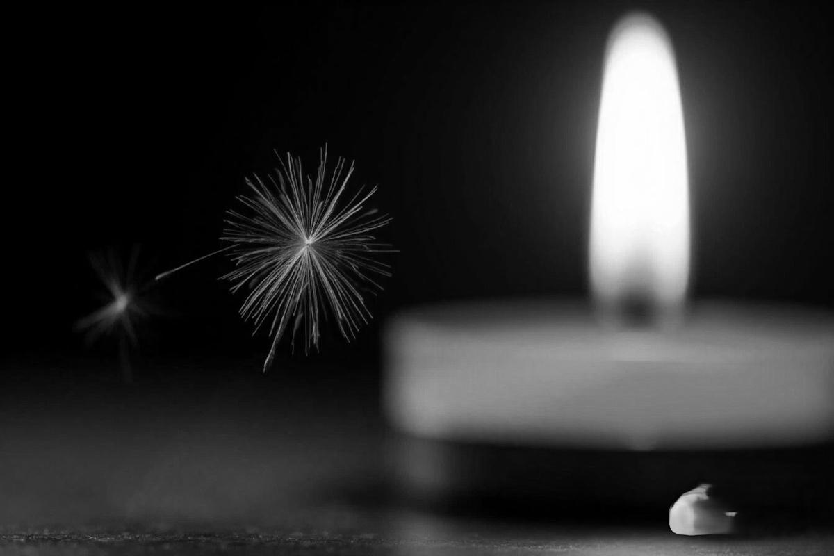 Звезда «Бесстыжих» Банни Левин ушла из жизни в 97 лет: она начала сниматься только на пенсии