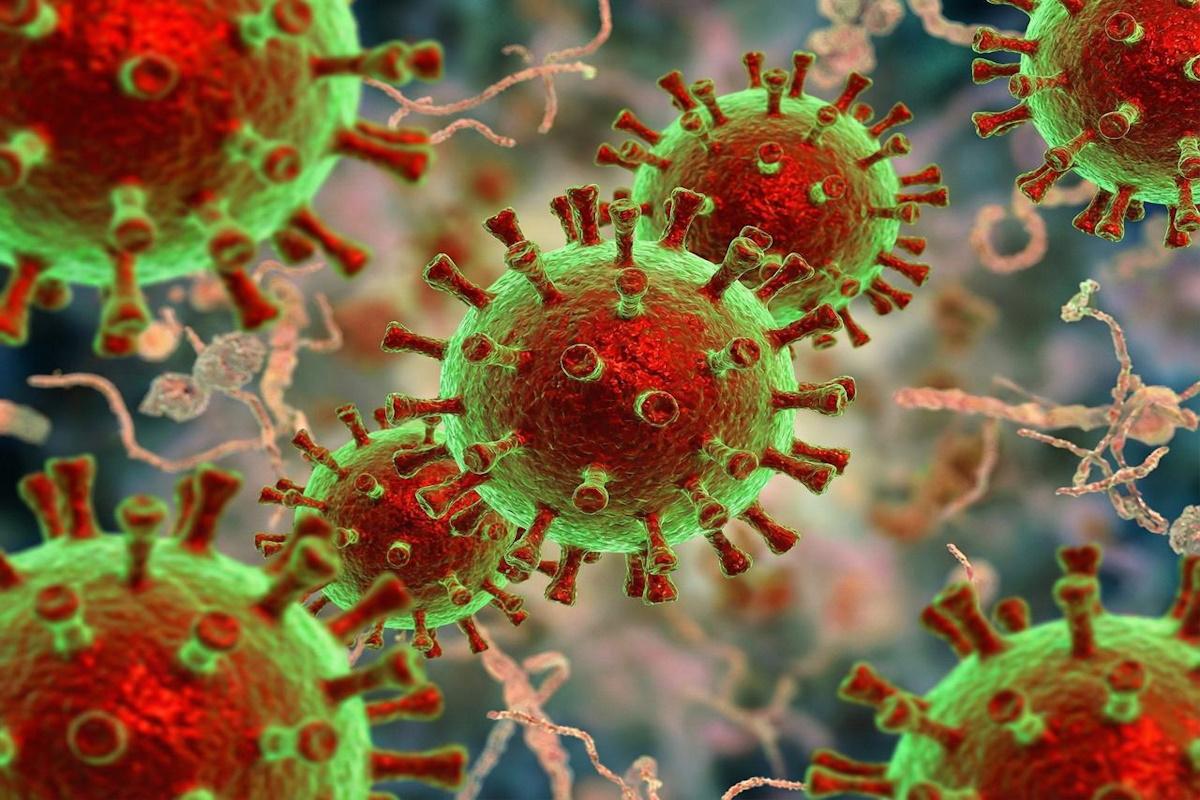 На фоне тревожной ситуации с бешенством в Тюменской области ветеринары работают в экстренном режиме