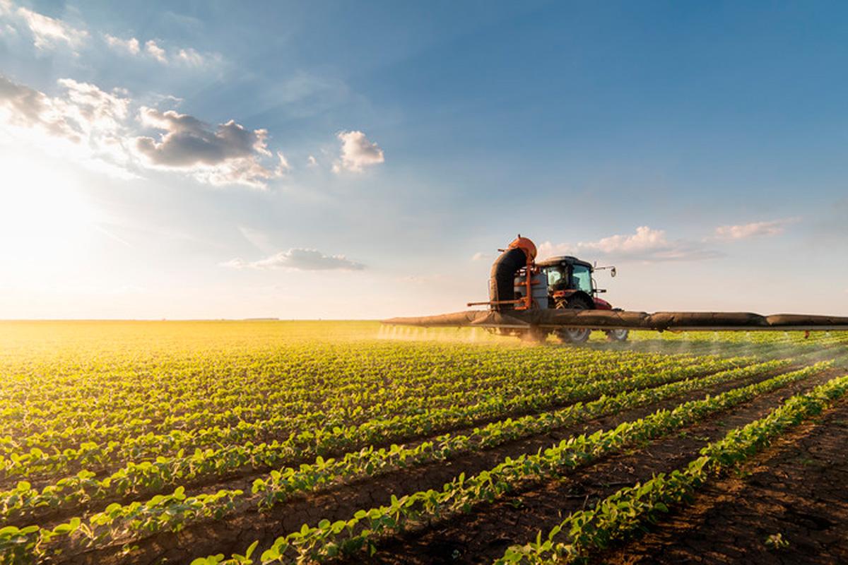 Эксперт дал совет по работе российского агропрома