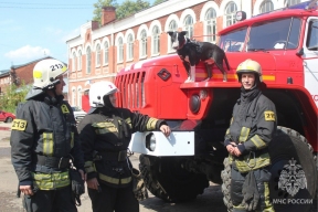 В Костромской области хотят ввести для пожарных почетное звание