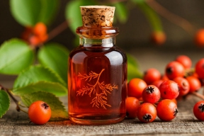 Специалист по питанию рассказал о преимуществах и рисках употребления настоек из рябины