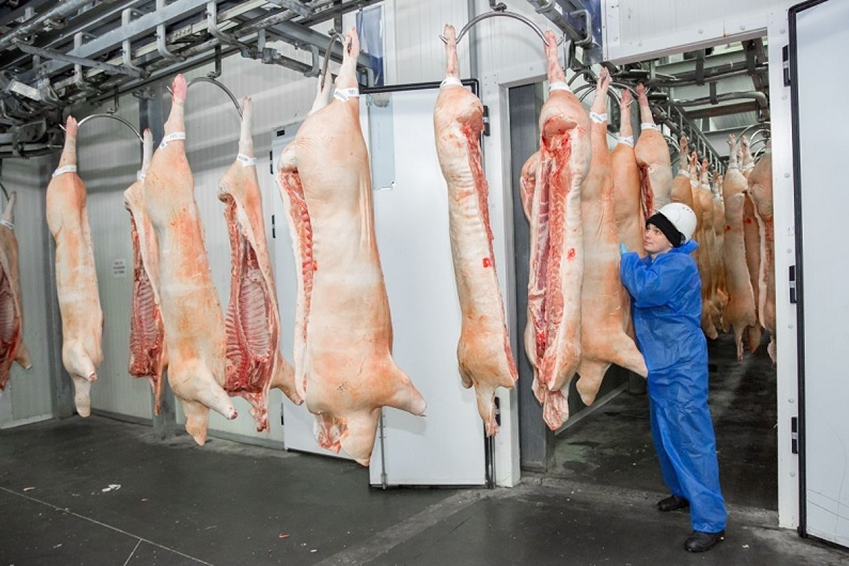 Экспорт томской свинины в первом полугодии вырос на 9%