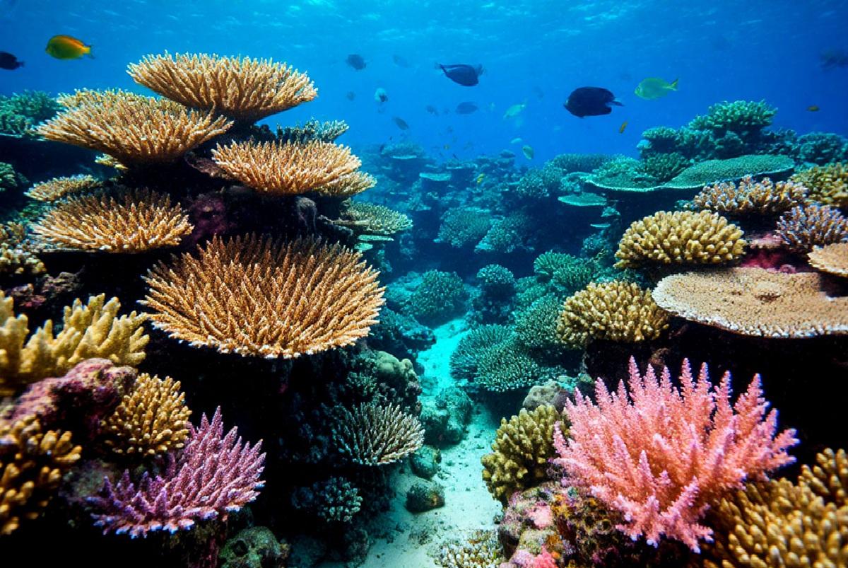 Ученые фиксируют «гробовую тишину» в природных экосистемах, вызванную потерей биоразнообразия