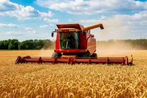 В Красноярском крае собрали рекордные 2,5 тысяч тонн зерна