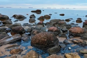 На берегу Финского залива выявили загрязнение нефтепродуктами