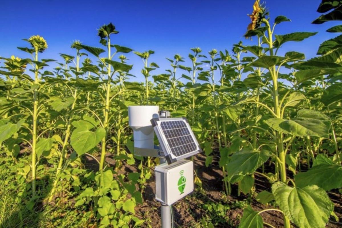 В Татарстане планируют создать крупнейшую в России сеть метеорологических станций