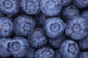 Twelve people in the Netherlands contracted hepatitis from supermarket blueberries