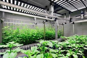 Москва помогает столичным компаниям внедрять инновации в сфере сельского хозяйства