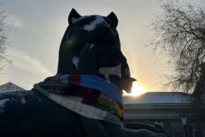 В Иркутске установили личности тех, кто украл шарф у символа города — бабра