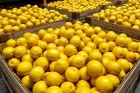 В Бурятии обнаружили зараженные цитрусовые из Аргентины и ЮАР