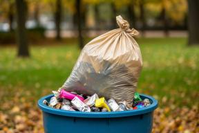 Россиянам грозит штраф до 15 тысяч за выброшенный в урну пакет с мусором