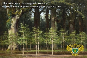 Липецкая прокуратура проверила соблюдение закона в ходе реализации проекта «Сохранение лесов»