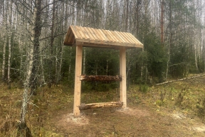 Во Владимирской области установили десятки солонцов для подкормки диких животных