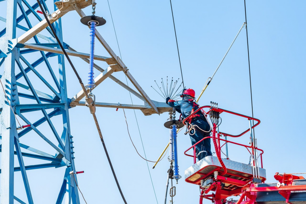 В Городском округе Пушкинский на ЛЭП в 2026 году установят 360 птицезащитных устройств