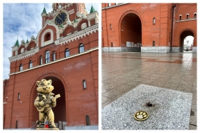 Тайна исчезновения кота Мурзика с площади Йошкар-Олы раскрыта