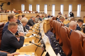 Развитие системы дополнительного образования обсудили на заседании Совета Заксобрания Иркутской области по взаимодействию с муниципалитетами