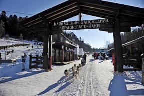 Высокий спрос на оздоровительный отдых способствовал росту турпотока в Адыгее в зимние месяцы