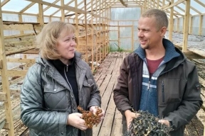 В Карелии создадут предприятие по добыче и переработке морских водорослей