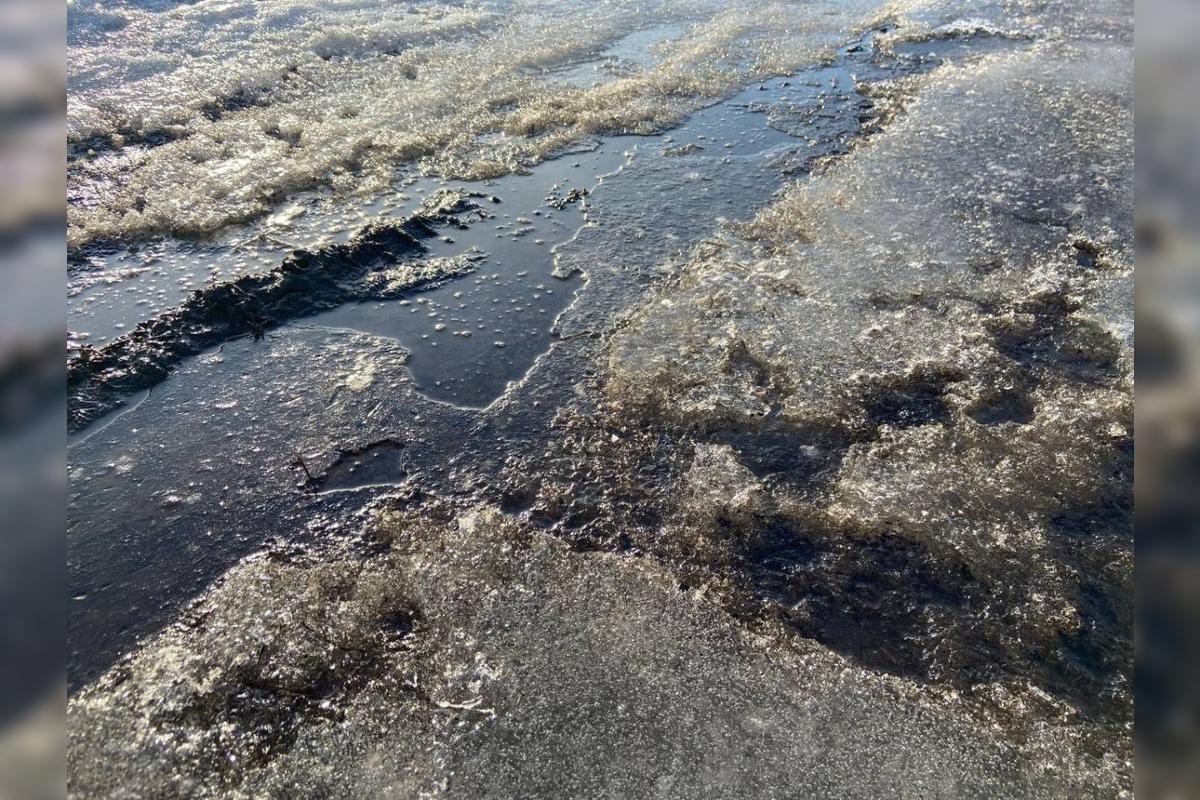 В Брянске ожидаются заморозки — срочно подготовьтесь к холодам