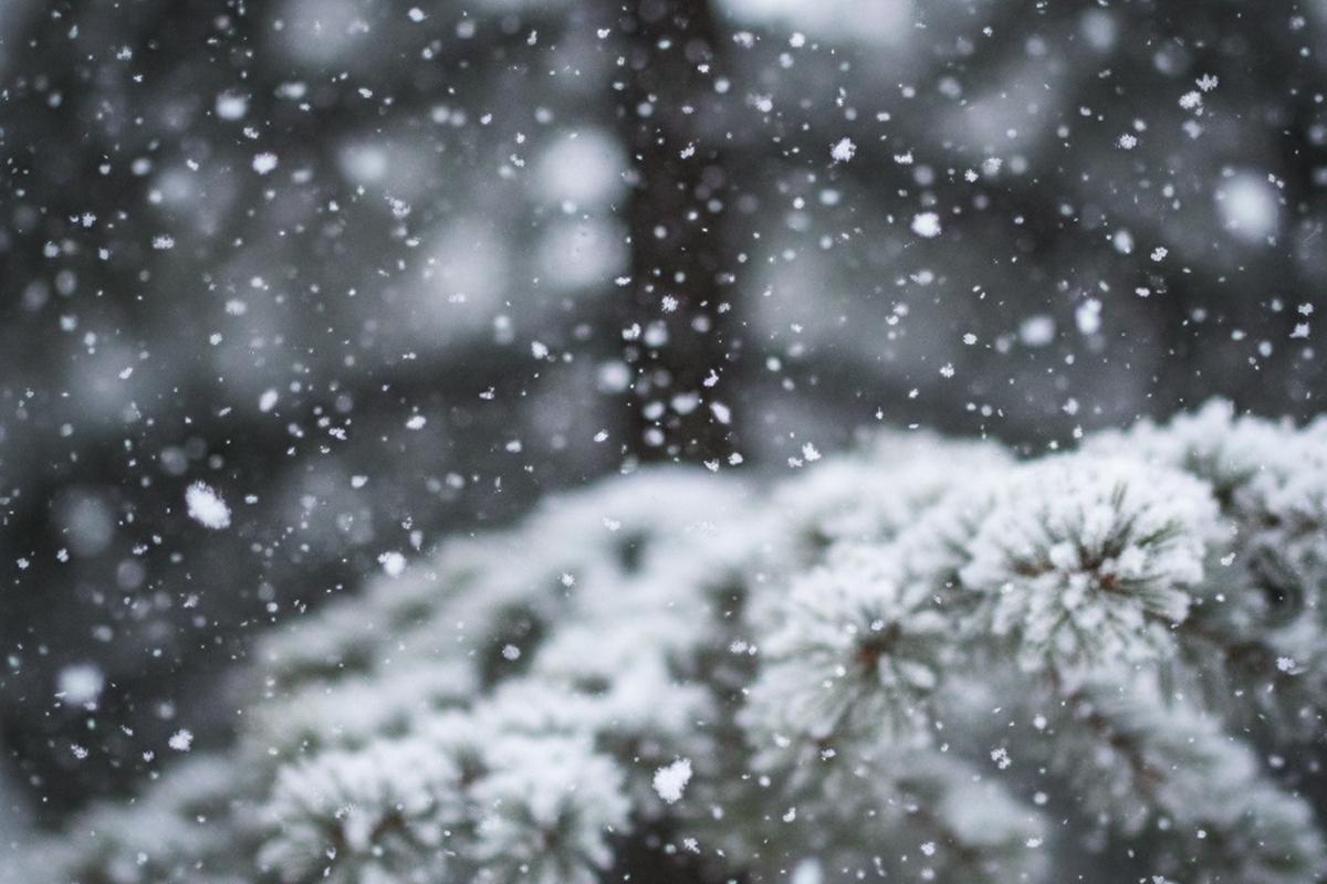 В Москве прогнозируют снег, метель и порывы ветра до 17 м/с