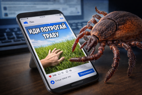 Клещи отступают: в Подмосковье зафиксировано на четверть меньше укусов, чем в прошлом году