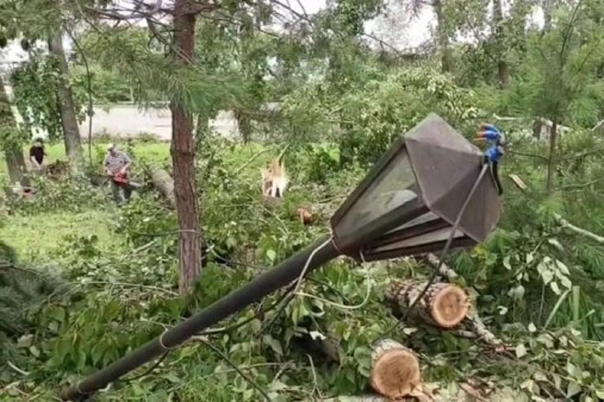 More than 130 trees collapsed due to the strong wind in Khabarovsk
