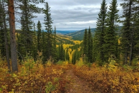 В Курской области взяли под охрану памятник природы «Остепненные склоны урочища Осиновый лог»