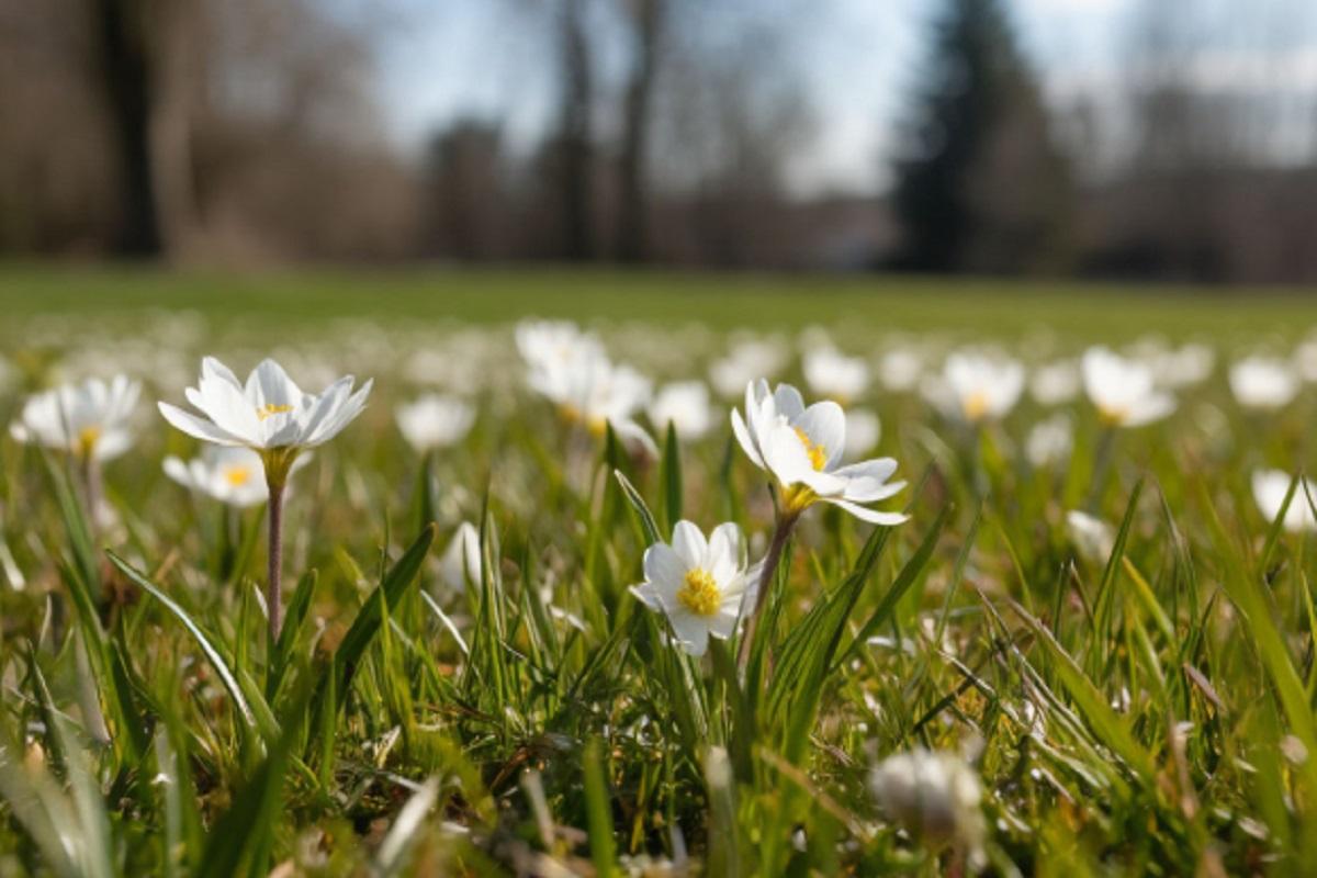 Синоптики прогнозируют, что март будет теплее нормы