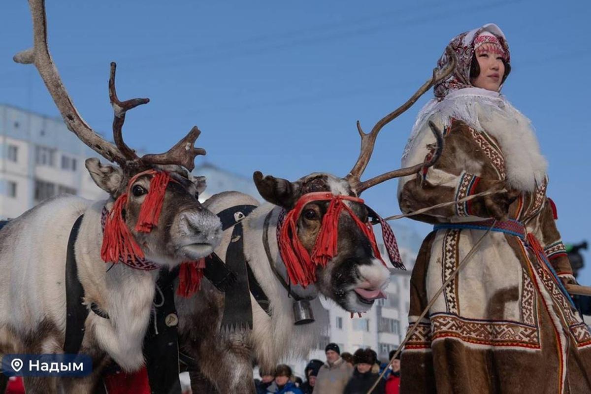 Снегоходы, дроны и свадьбы: как Ямал отметил День оленевода