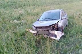 В Татарстане автомобилисты сбили двух кабанов и косулю