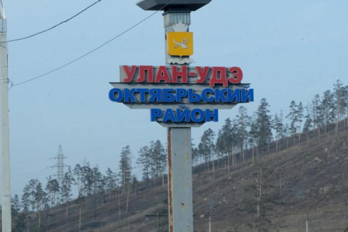 Электричество в школах и больнице Улан-Удэ отключила наглая крыса