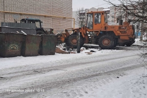 Власти Кинешмы просят жителей не складировать древесные отходы у мусорных контейнеров