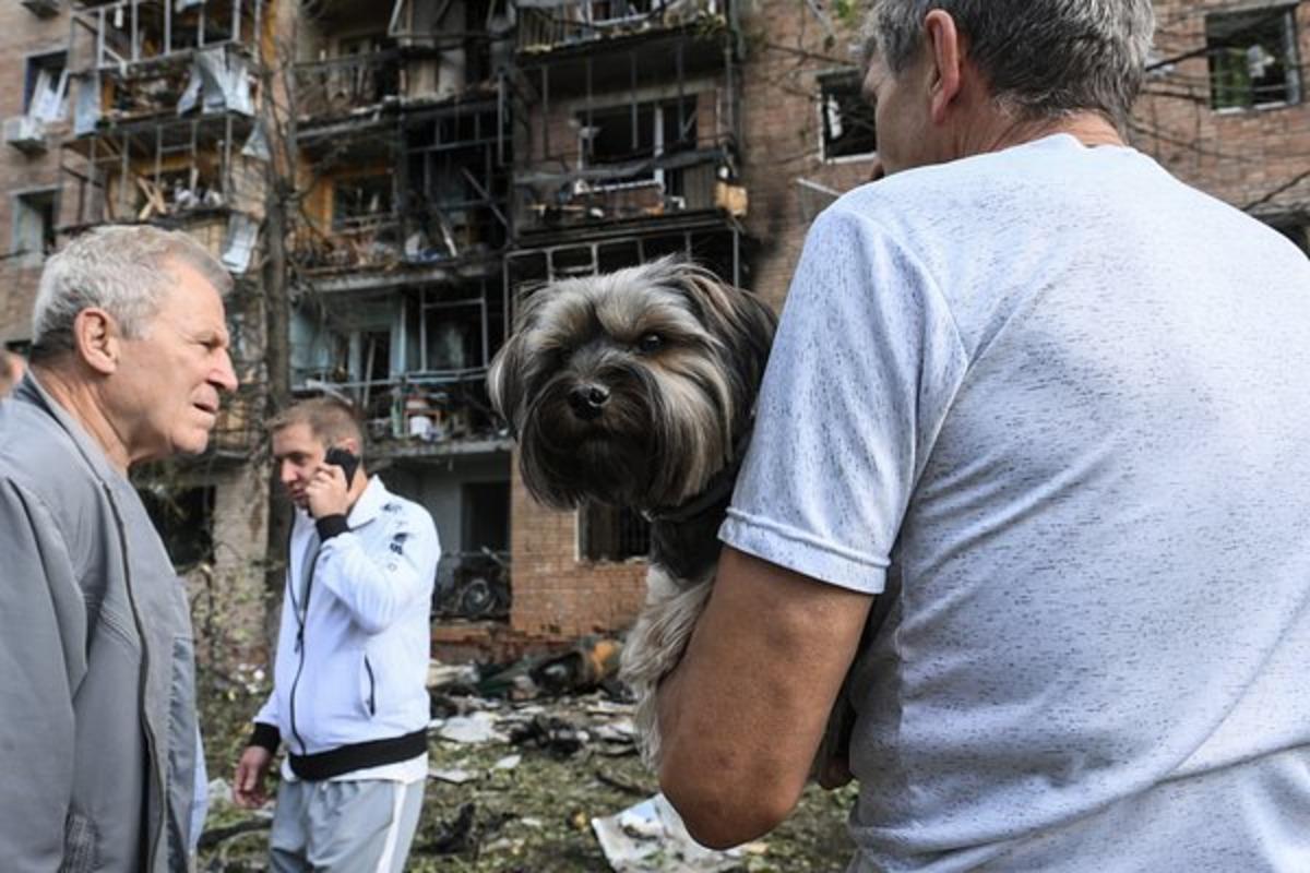 Обезвоженные и уставшие: волонтеры эвакуировали людей из Курской области