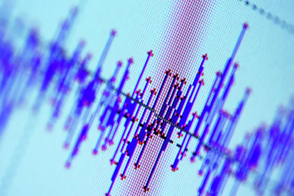 В Новосибирске произошло землетрясение