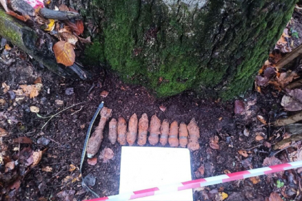 В Рузском округе уничтожили 10 военных боеприпасов времён ВОВ