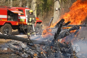 Несмотря на снежную зиму, калининградские поджигатели травы уже активизировались