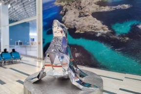 Зеркальному сивучу в аэропорту Южно-Сахалинска дали имя Гоша