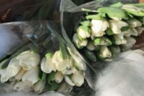 Хабаровский край начал импортировать тюльпаны из Китая