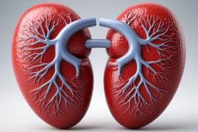 «Тихая эпидемия»: 90% россиян не подозревают, что их почки уже разрушаются