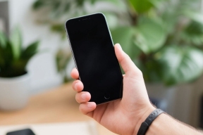 «Просто поставили галочку, а они звонят уже год»: кто такой оператор персональных данных и что он может?