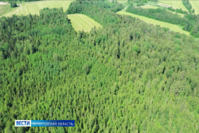 Более 60 беспилотников охраняют лесной фонд Вологодской области от пожаров