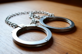 Росгвардия совершила более 800 выездов по тревоге в новогодние праздники