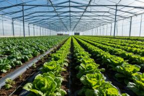 Отходы — в доходы: как красноярские ученые превращают мусор в арктический чернозем