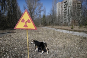 Scientists studied mutated dogs in Chernobyl