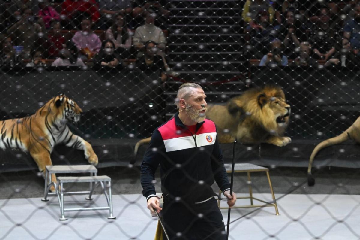 Аскольд Запашный рассказал, что его супруга хочет вернуться в Россию из Израиля