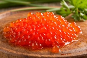 В Курскую область ввезли партию оплодотворенной икры форели из Италии