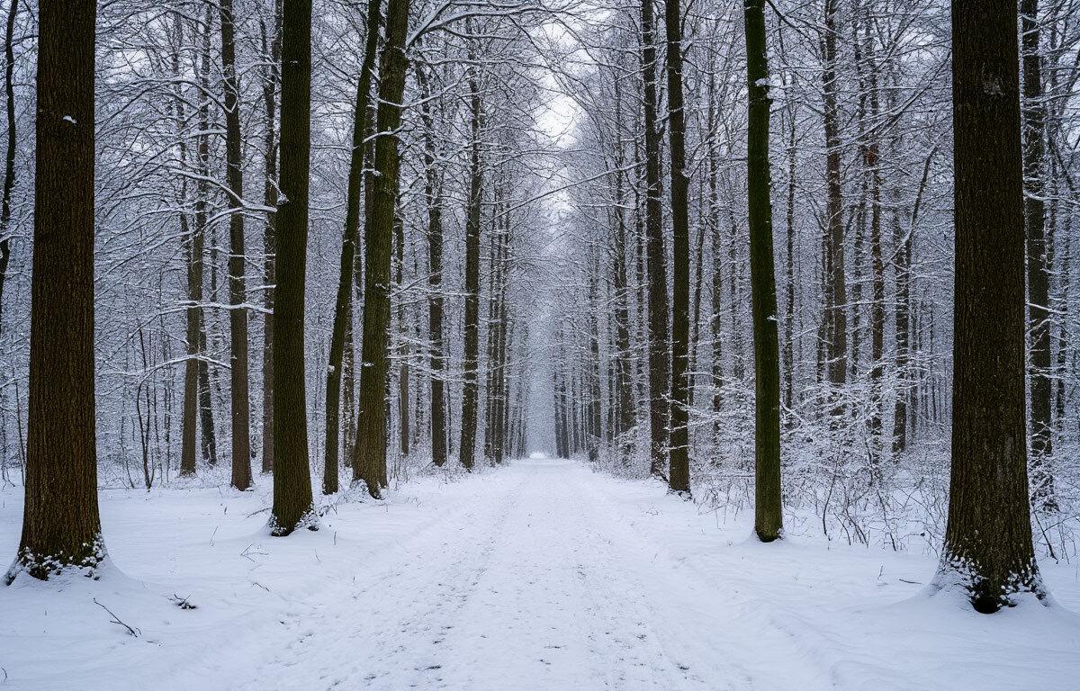 В Ханты-Мансийске обнаружили тело пропавшего 15-летнего подростка